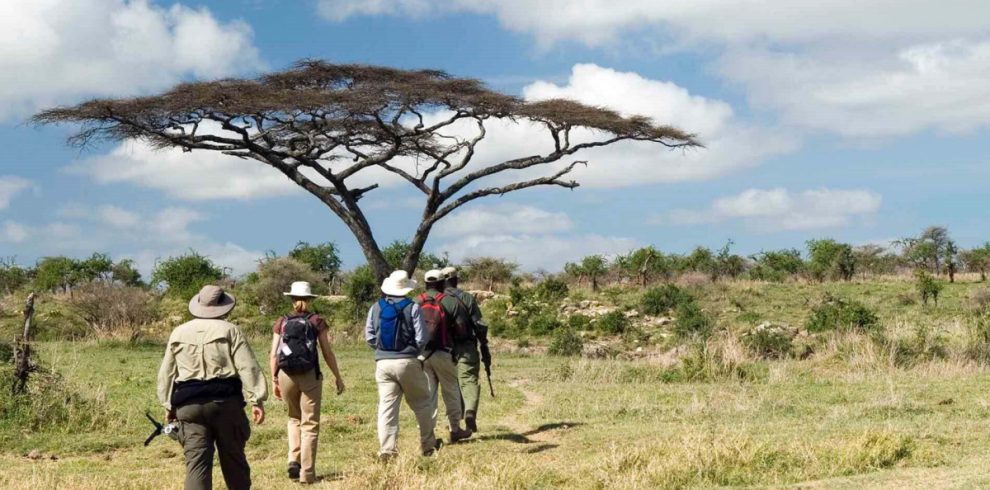 Ngorongoro Crater walking Safari