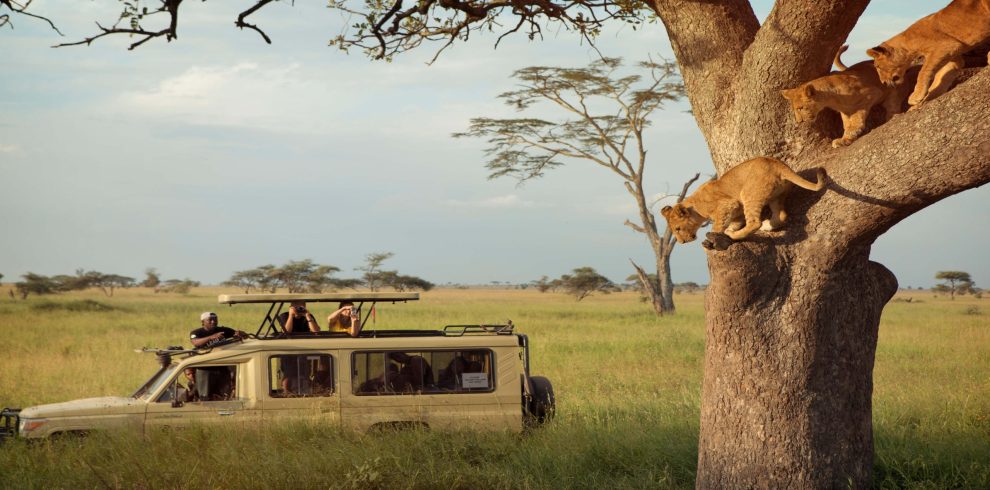 game_drive_in_the_serengeti